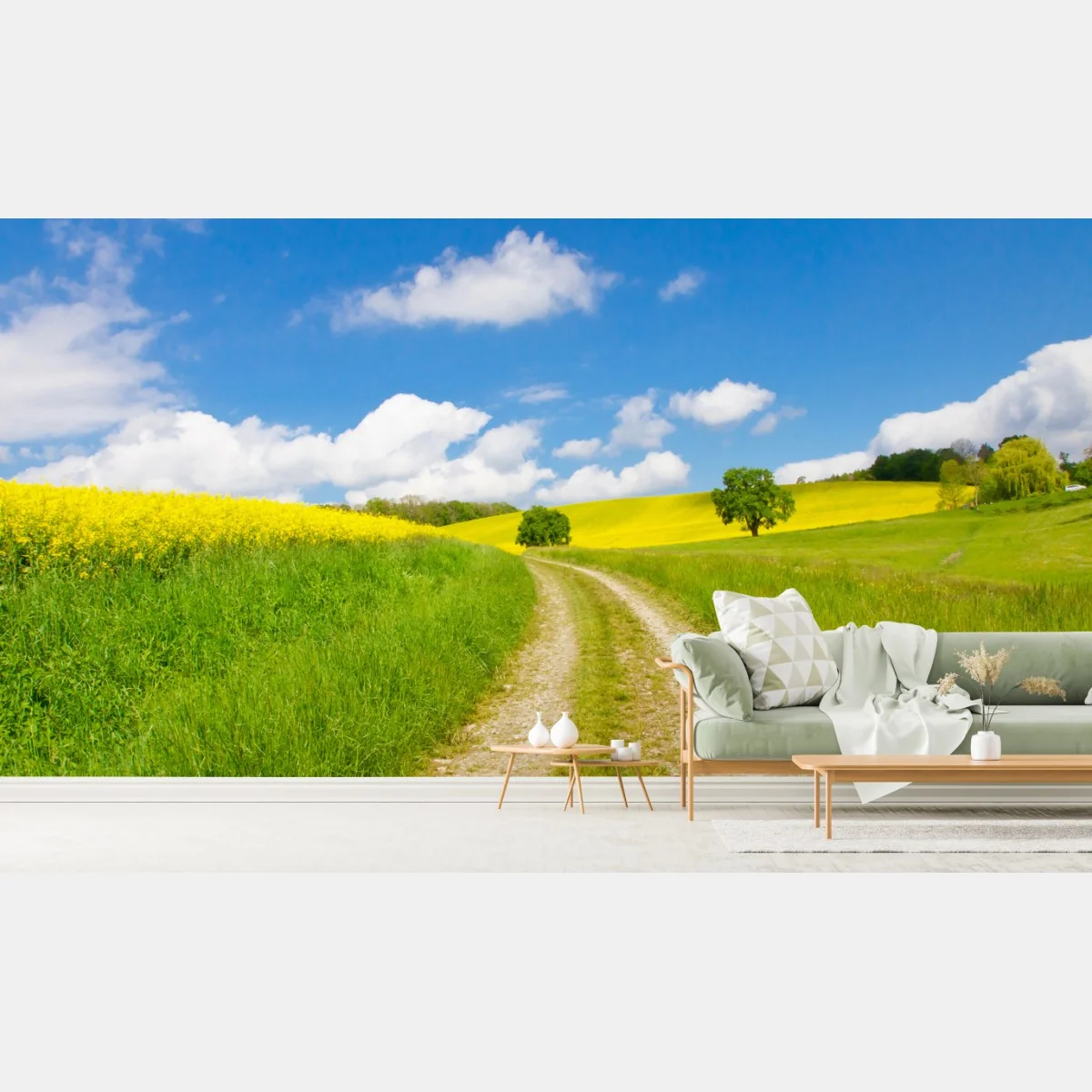 Fototapeta słoneczna wiejska droga przez żółte pola – Wallissimo® Fototapeta słoneczna wiejska droga przez żółte pola – Wallissimo®