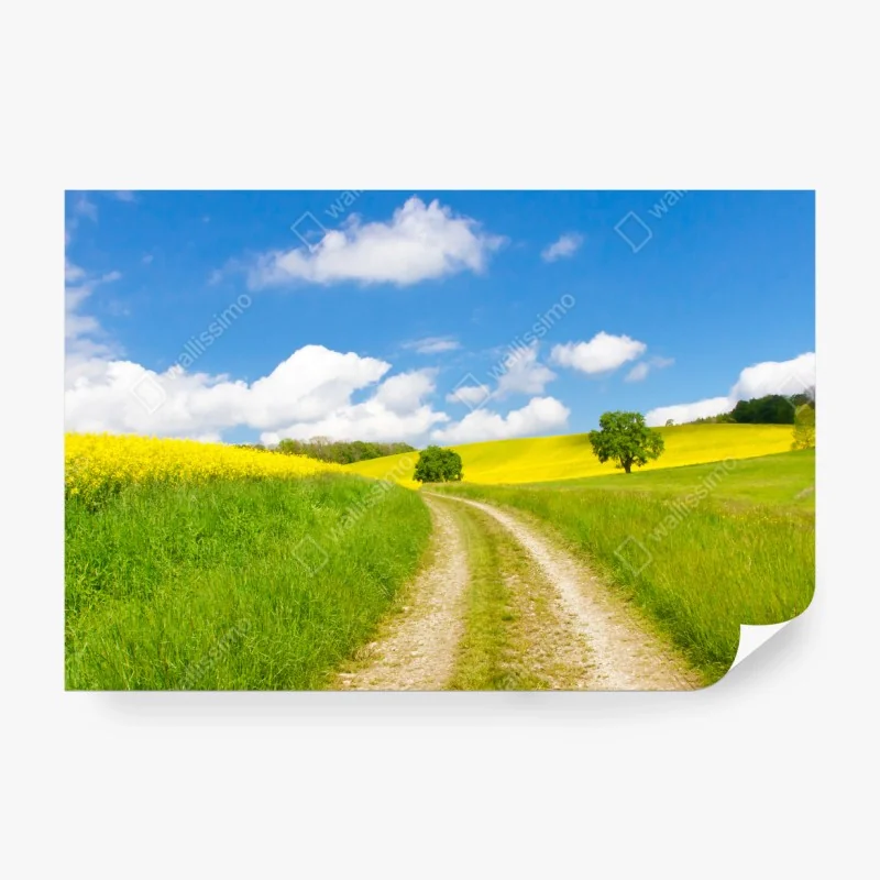 Fototapeta różowa laguna z flamingami i odbiciem gór – Wallissimo®