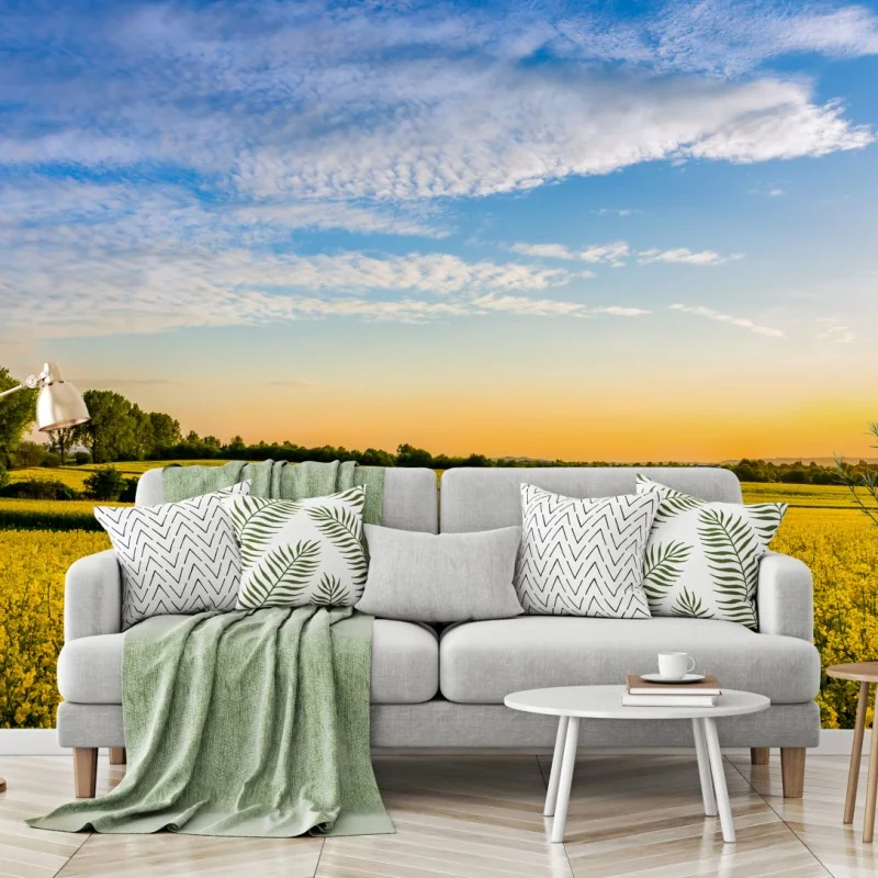 Fototapeta słoneczne pole rzepaku o zachodzie słońca – Wallissimo® Fototapeta słoneczne pole rzepaku o zachodzie słońca – Wallissimo®