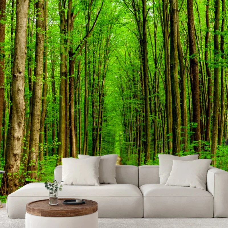 Fototapeta zielona leśna ścieżka wiosną – Wallissimo® Fototapeta zielona leśna ścieżka wiosną – Wallissimo®