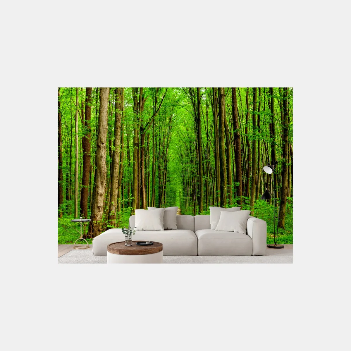 Fototapeta zielona leśna ścieżka wiosną – Wallissimo® Fototapeta zielona leśna ścieżka wiosną – Wallissimo®