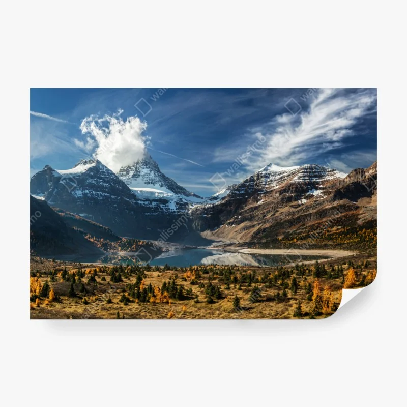 Fototapeta delikatne zbliżenie nasion dmuchawca czarno-białe – Wallissimo®