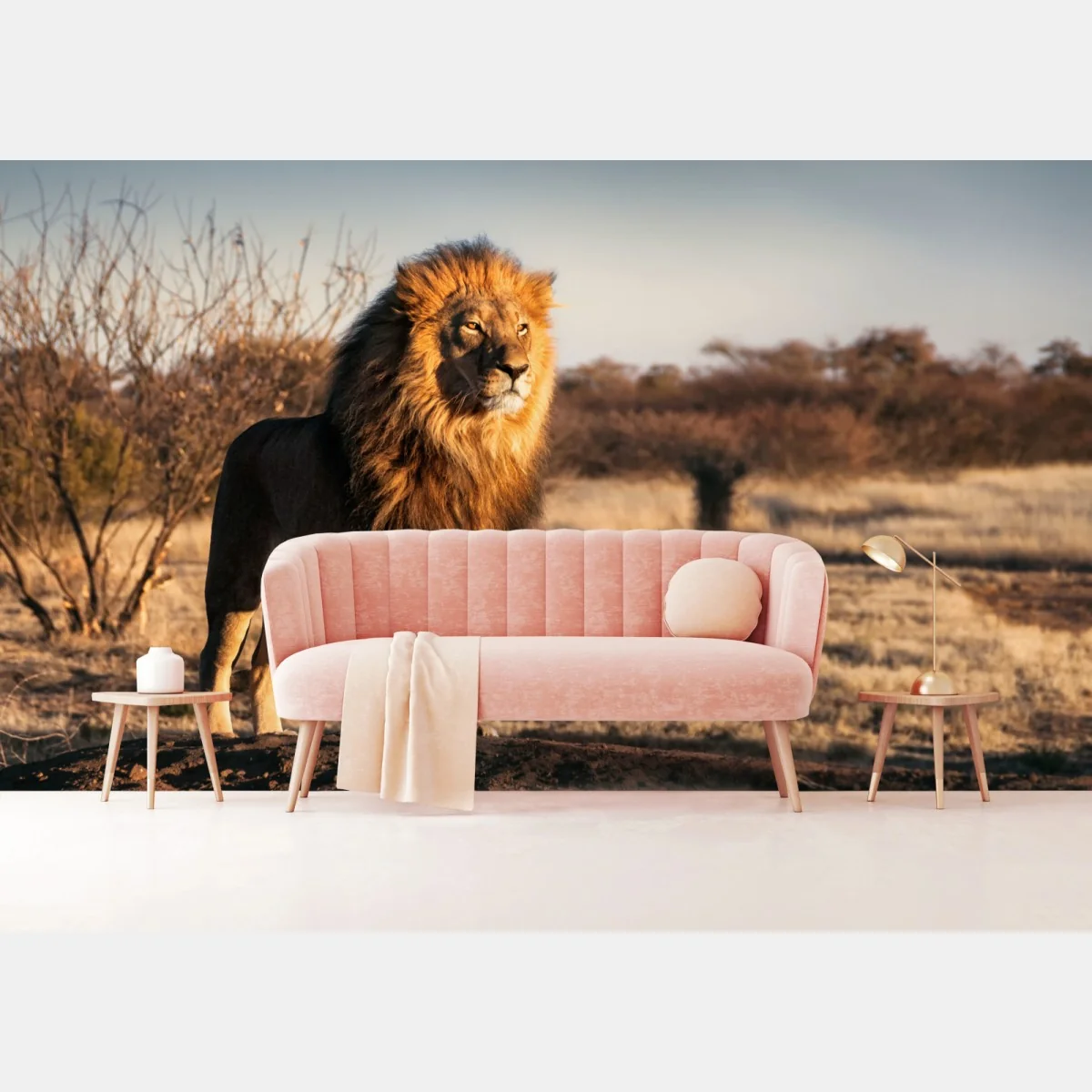 Fototapeta władczy lew na sawannie – Wallissimo® Fototapeta władczy lew na sawannie – Wallissimo®