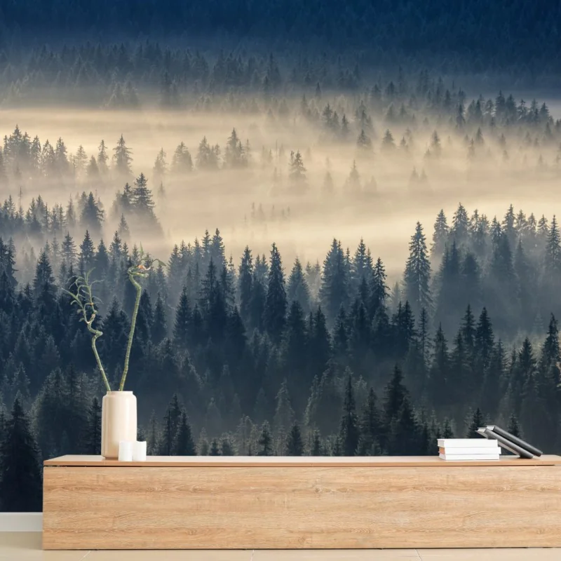 Fototapeta mglista dolina świerków o świcie – Wallissimo® Fototapeta mglista dolina świerków o świcie – Wallissimo®