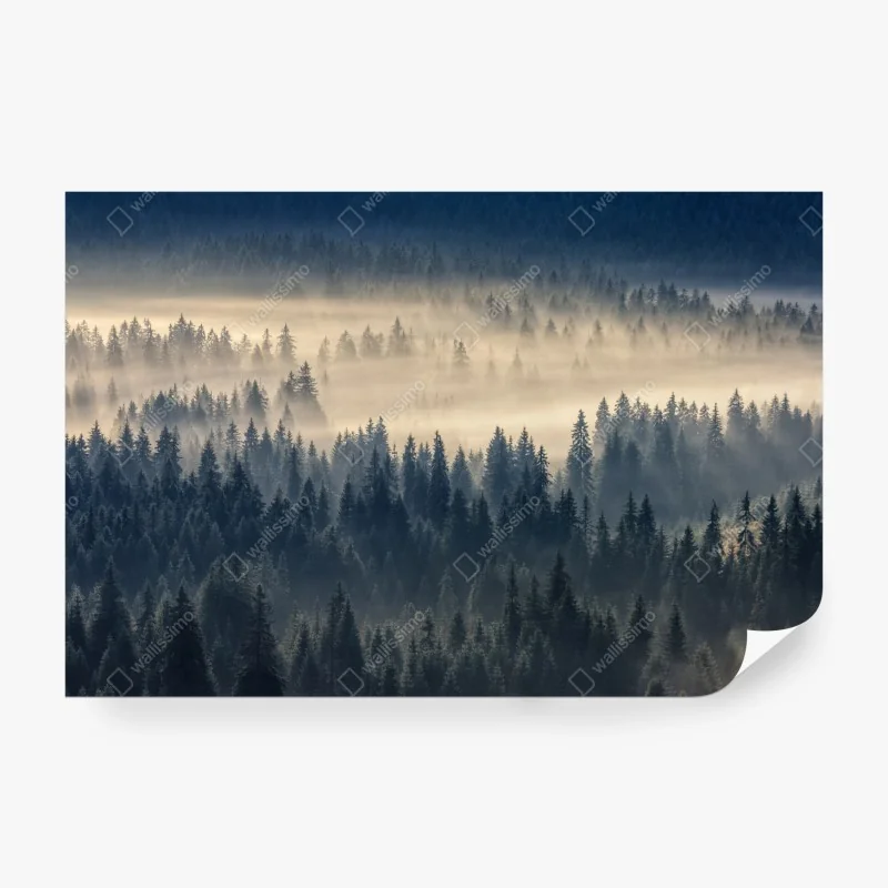 Fototapeta bujny wodospad w Mt Field National Park, Tasmania – Wallissimo®