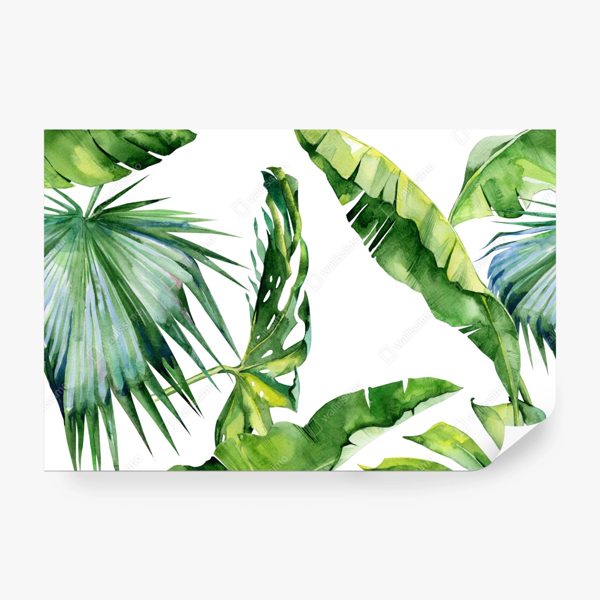 Fototapeta tropikalny akwarelowy wzór liści palmowych – Wallissimo® Fototapeta tropikalny akwarelowy wzór liści palmowych – Wallissimo®