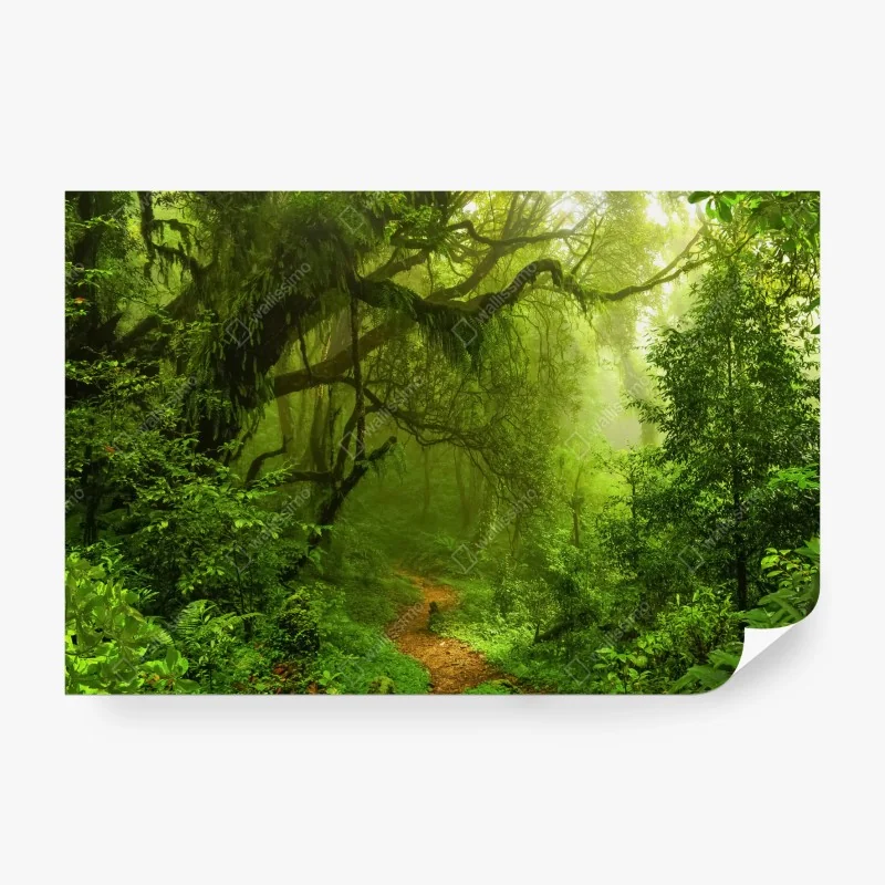 Fototapeta zabawna mapa świata ze zwierzętami – Wallissimo®