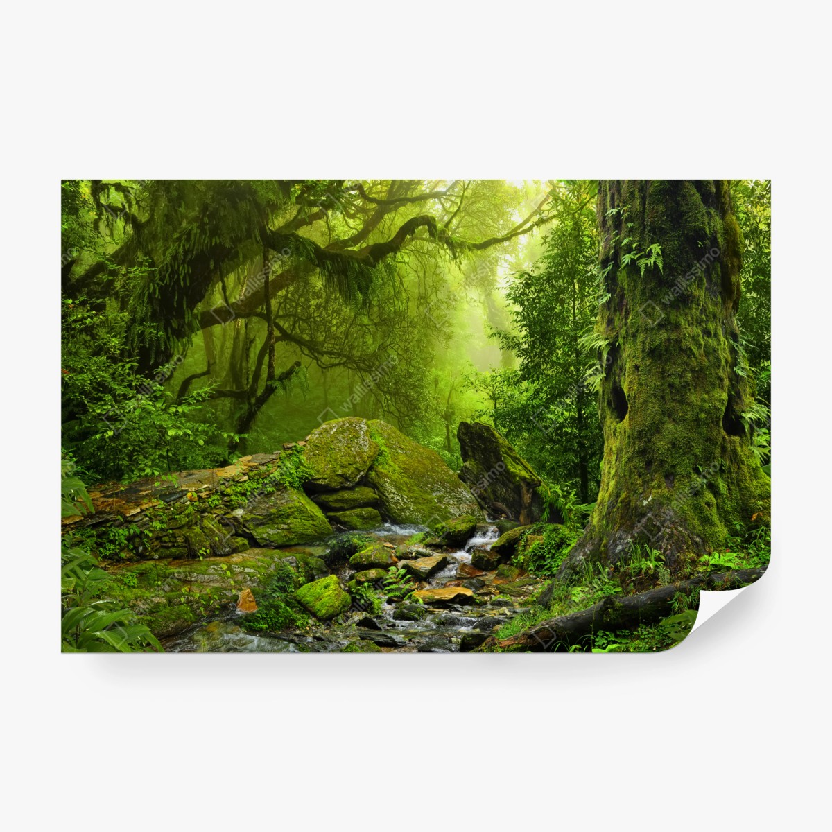 Fototapeta leśny strumień porośnięty mchem – Wallissimo® Fototapeta leśny strumień porośnięty mchem – Wallissimo®