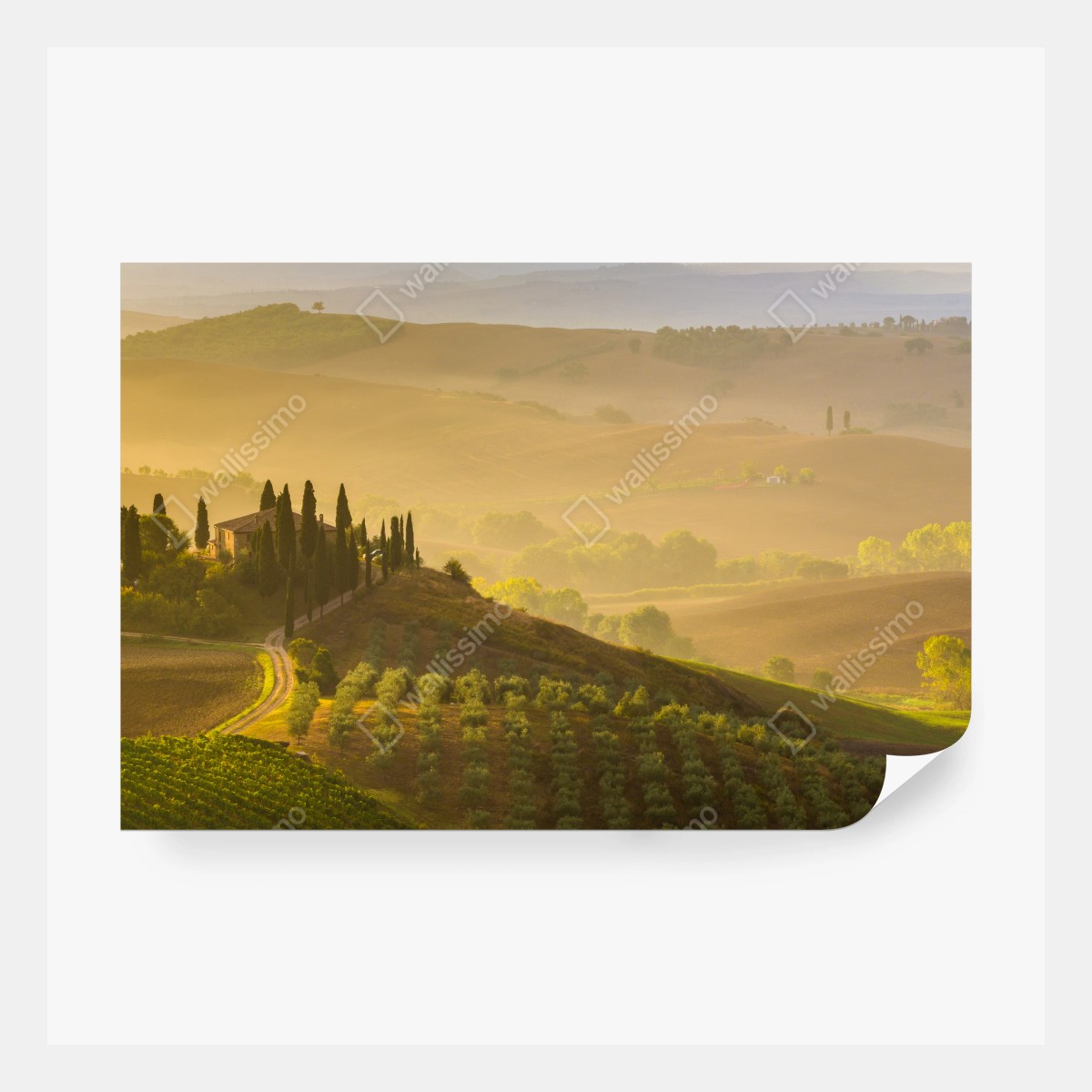 Fototapeta mglisty poranek nad Val d'Orcia – Wallissimo® Fototapeta mglisty poranek nad Val d'Orcia – Wallissimo®
