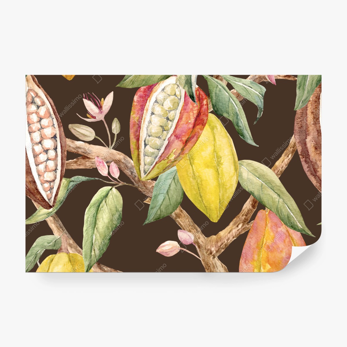 Fototapeta akwarelowy wzór strąków kakaowych – Wallissimo®
