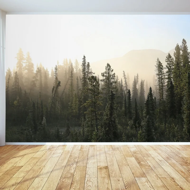 Fototapeta mglisty las sosnowy o wschodzie słońca – Wallissimo® Fototapeta mglisty las sosnowy o wschodzie słońca – Wallissimo®