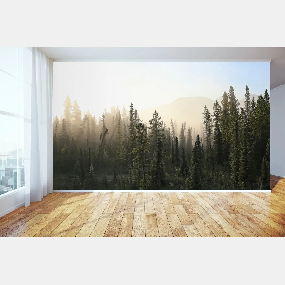 Fototapeta mglisty las sosnowy o wschodzie słońca – Wallissimo® Fototapeta mglisty las sosnowy o wschodzie słońca – Wallissimo®