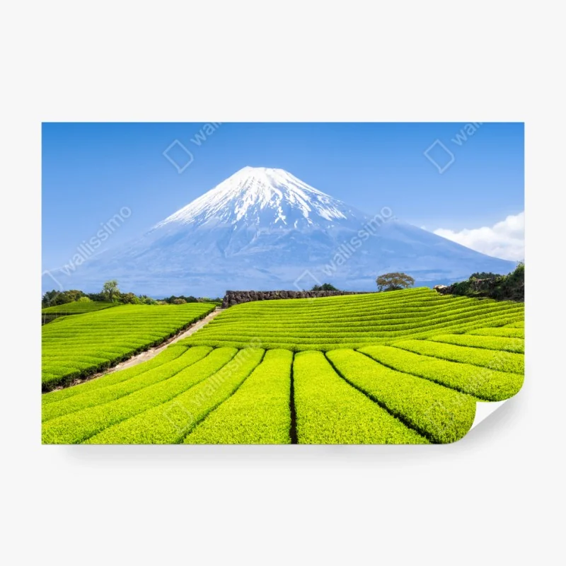 Fototapeta jeleń z cielakiem w zielonym lesie – Wallissimo®