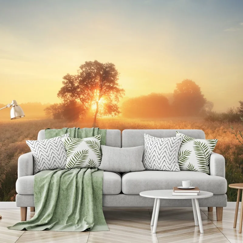 Fototapeta złoty wschód słońca nad mglistą łąką – Wallissimo® Fototapeta złoty wschód słońca nad mglistą łąką – Wallissimo®