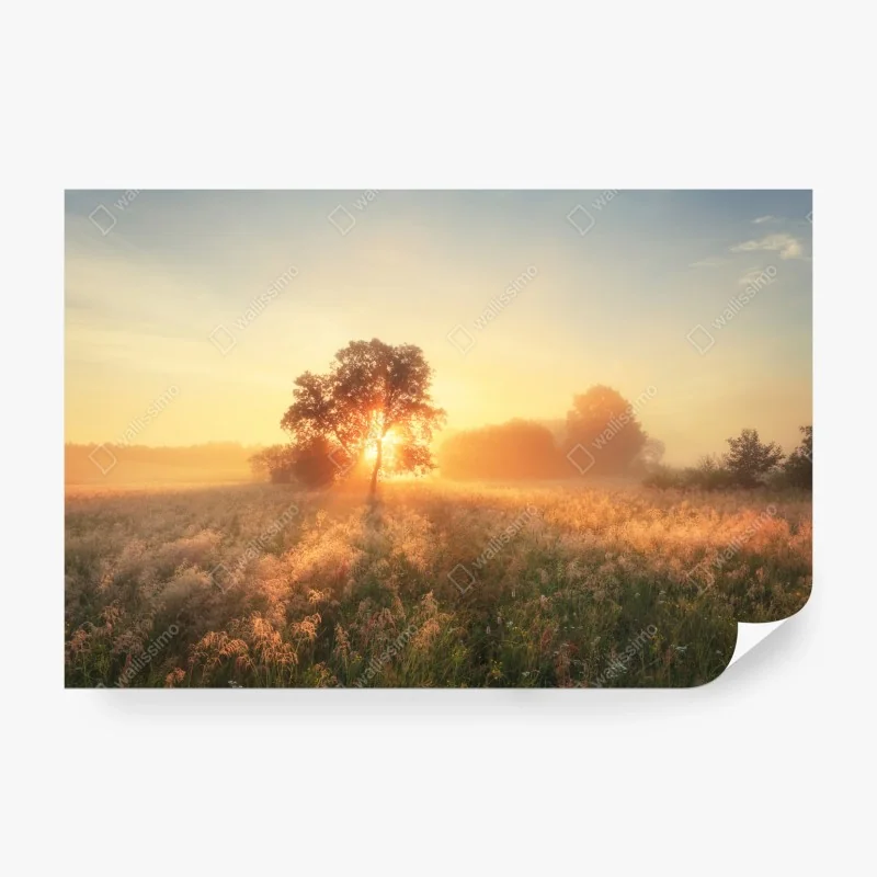 Fototapeta czarny marmur ze złotymi żyłami – Wallissimo®