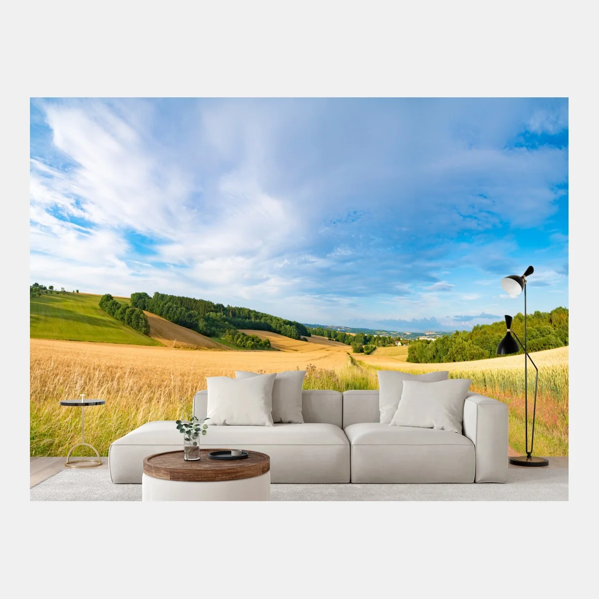 Fototapeta poranna panorama pszenicy w Kansas – Wallissimo® Fototapeta poranna panorama pszenicy w Kansas – Wallissimo®