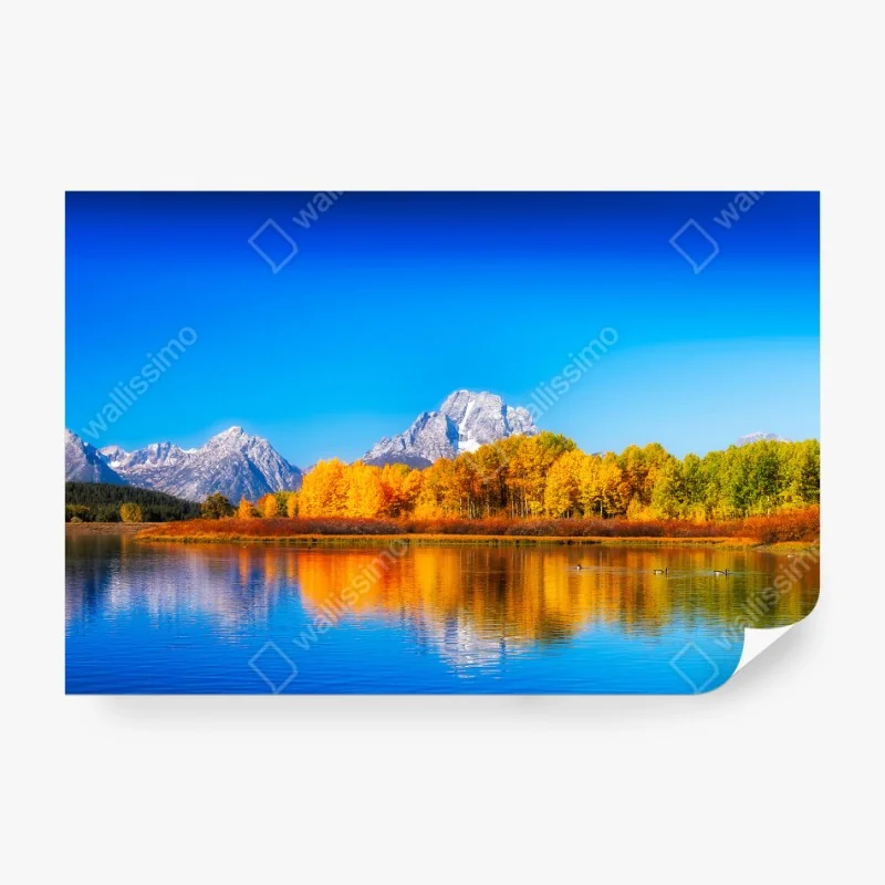 Fototapeta różowy wzór z kocimi buźkami – Wallissimo®