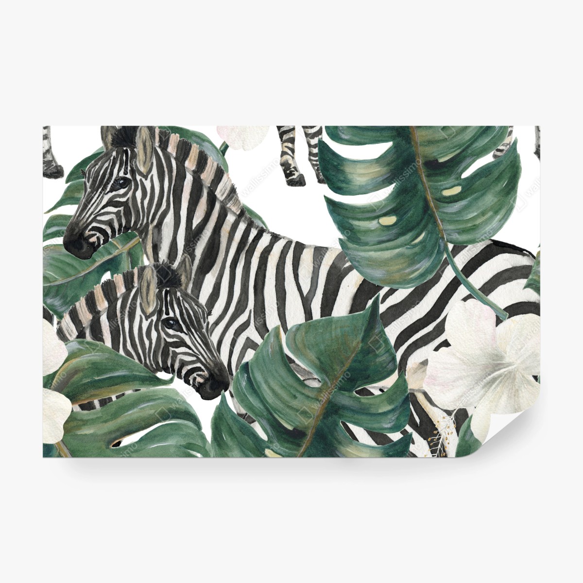 Fototapeta tropikalny wzór z zebrą i monsterą – Wallissimo® Fototapeta tropikalny wzór z zebrą i monsterą – Wallissimo®