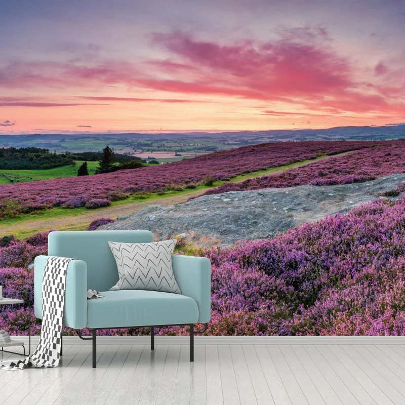 Fototapeta fioletowe wrzosowiska o zachodzie słońca – Wallissimo® Fototapeta fioletowe wrzosowiska o zachodzie słońca – Wallissimo®