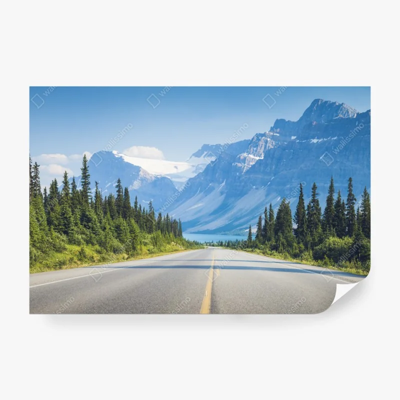 Fototapeta droga przez las iglasty do gór i lodowcowego jeziora – Wallissimo® Fototapeta droga przez las iglasty do gór i lodowcowego jeziora – Wallissimo®