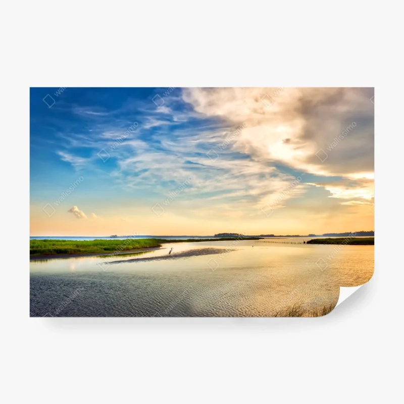 Fototapeta słoneczna aleja starych dębów przy Savannah – Wallissimo®