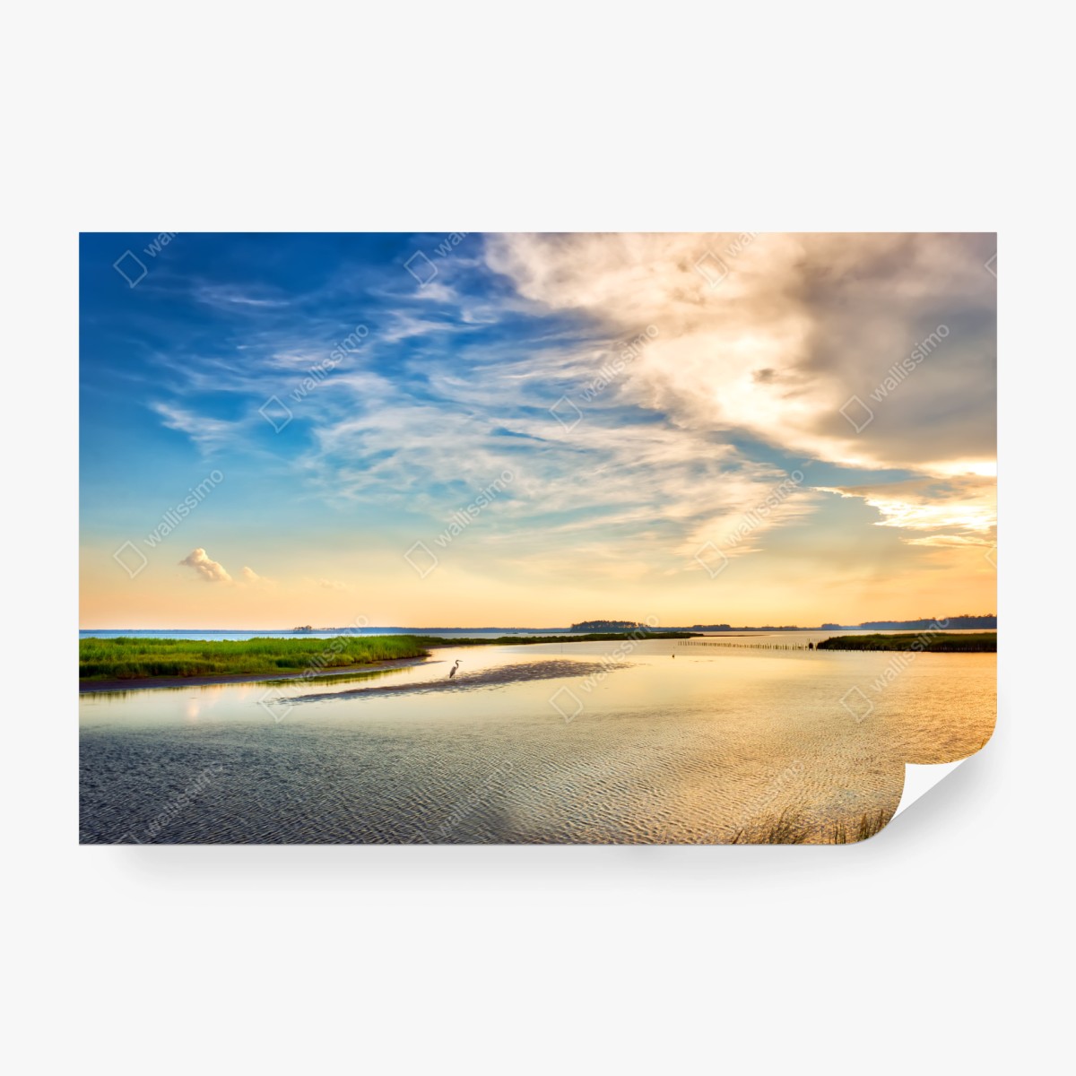 Fototapeta czapla nad zatoką Chesapeake o zachodzie słońca – Wallissimo® Fototapeta czapla nad zatoką Chesapeake o zachodzie słońca – Wallissimo®