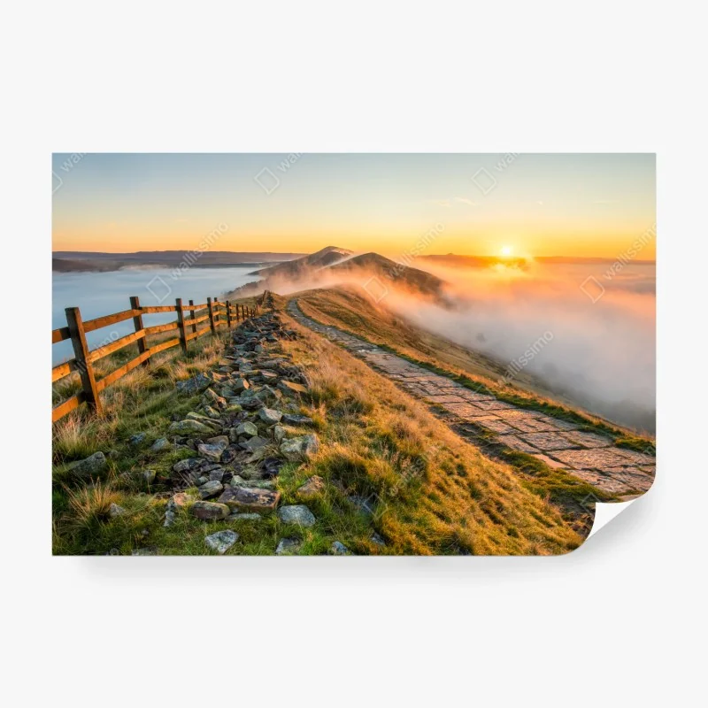 Fototapeta pastelowy wzór z jednorożcami i tęczami – Wallissimo®