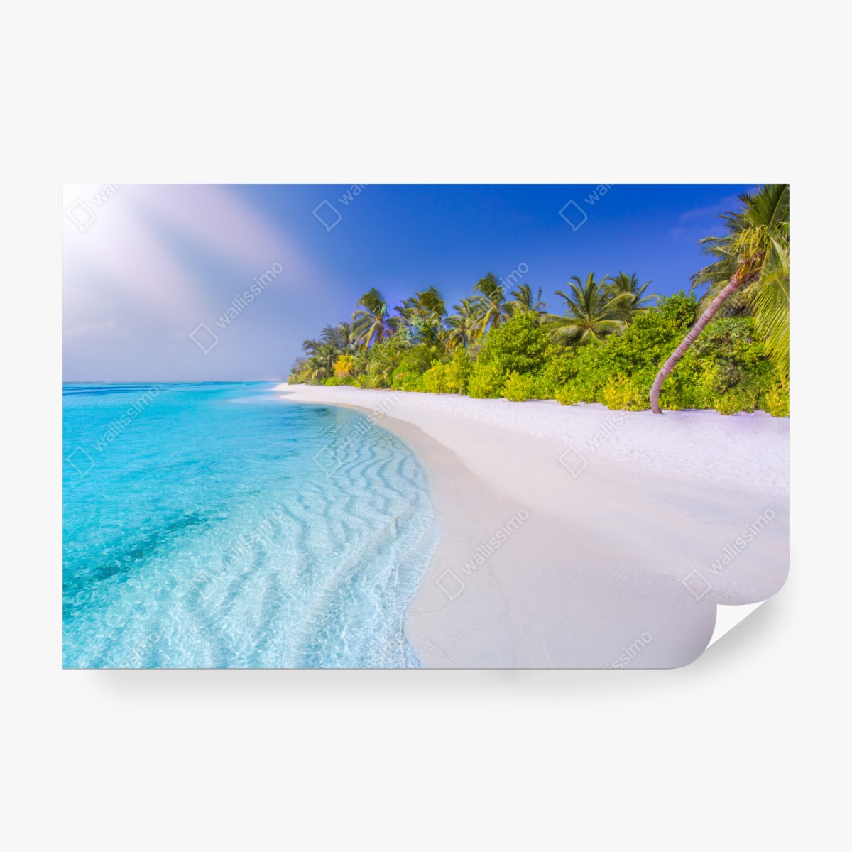 Fototapeta tropikalna turkusowa plaża – Wallissimo® Fototapeta tropikalna turkusowa plaża – Wallissimo®