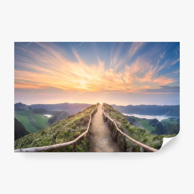 Fototapeta delikatne zbliżenie nasion dmuchawca czarno-białe – Wallissimo®