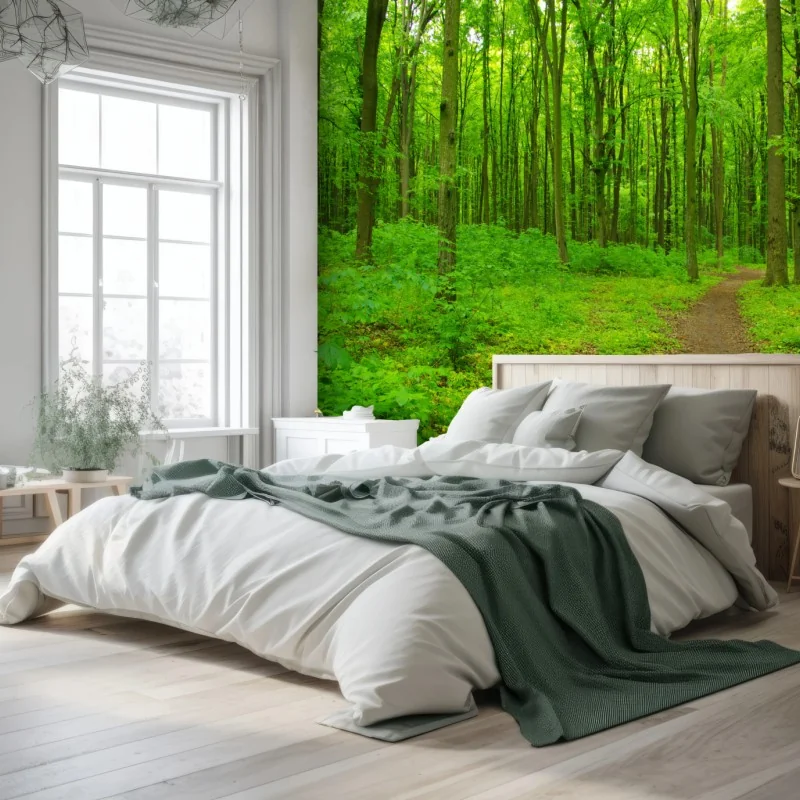Fototapeta spokojna zielona leśna ścieżka – Wallissimo® Fototapeta spokojna zielona leśna ścieżka – Wallissimo®
