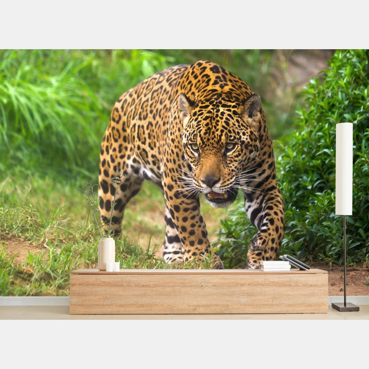 Fototapeta majestatyczny jaguar w naturze – Wallissimo® Fototapeta majestatyczny jaguar w naturze – Wallissimo®