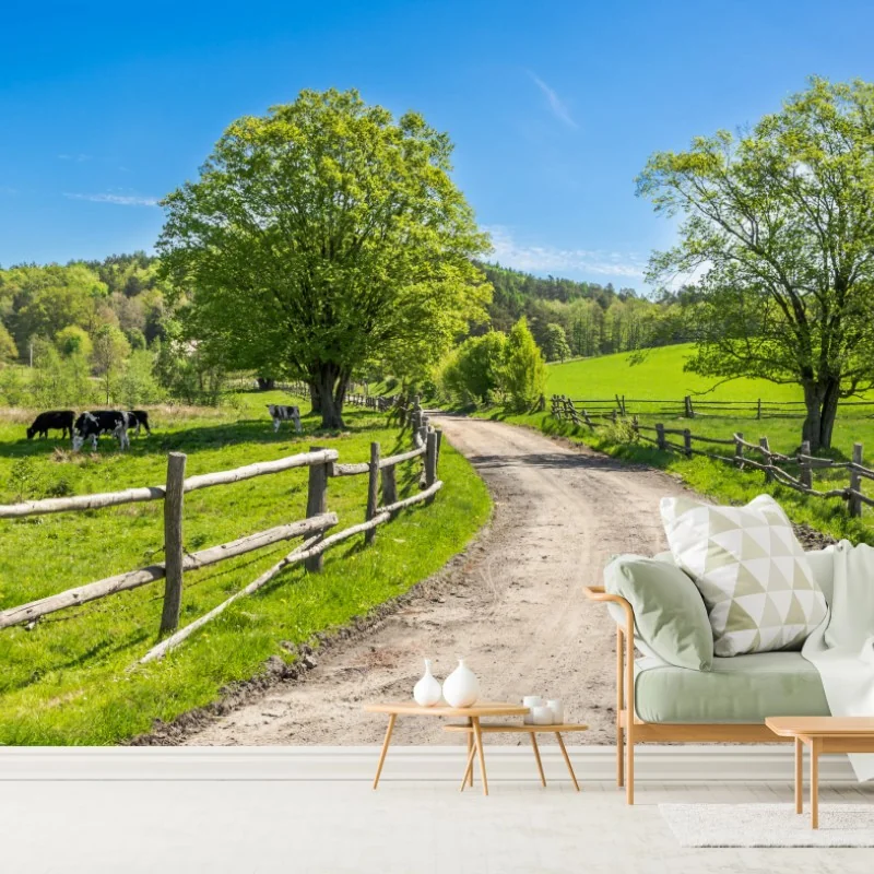 Fototapeta słoneczna wiejska droga przez zielone łąki – Wallissimo® Fototapeta słoneczna wiejska droga przez zielone łąki – Wallissimo®