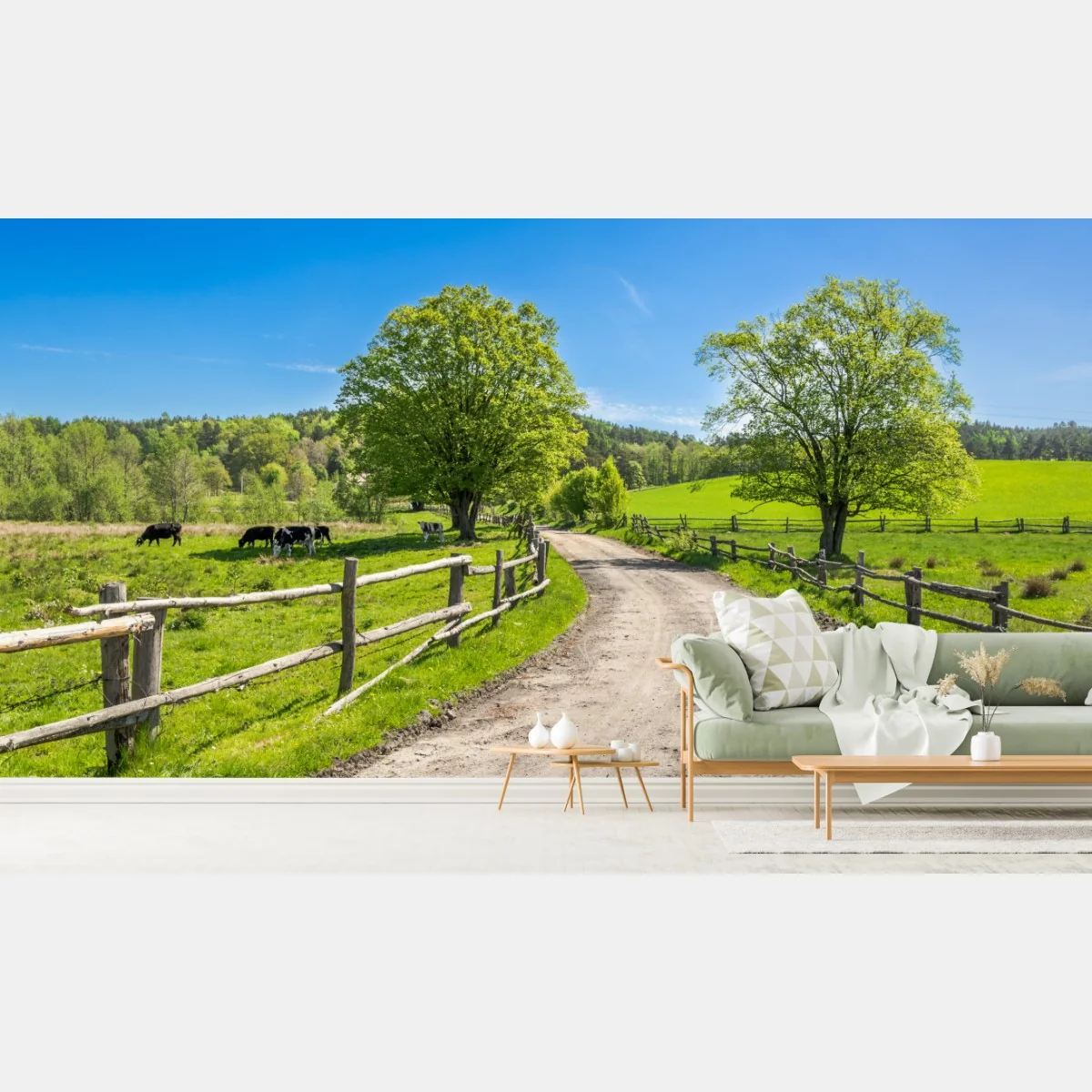 Fototapeta słoneczna wiejska droga przez zielone łąki – Wallissimo® Fototapeta słoneczna wiejska droga przez zielone łąki – Wallissimo®