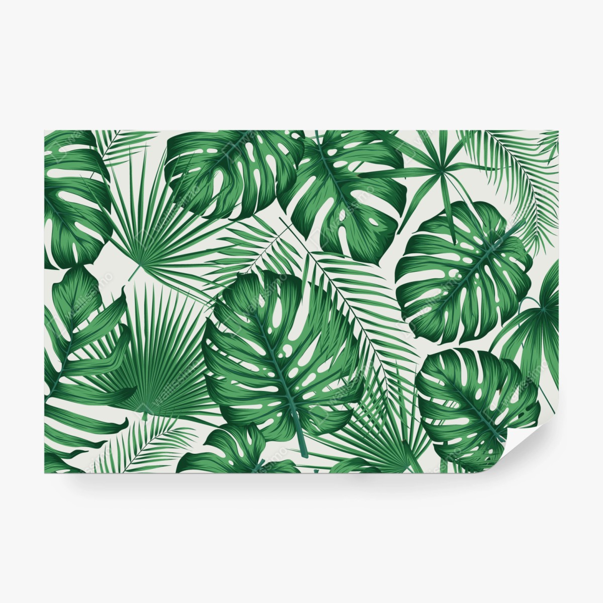 Fototapeta tropikalny wzór liści monstery i palm – Wallissimo® Fototapeta tropikalny wzór liści monstery i palm – Wallissimo®