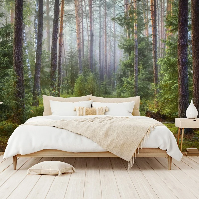 Fototapeta mglisty sosnowy las z ścieżką – Wallissimo® Fototapeta mglisty sosnowy las z ścieżką – Wallissimo®