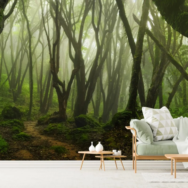 Fototapeta mglisty zielony leśny szlak – Wallissimo® Fototapeta mglisty zielony leśny szlak – Wallissimo®