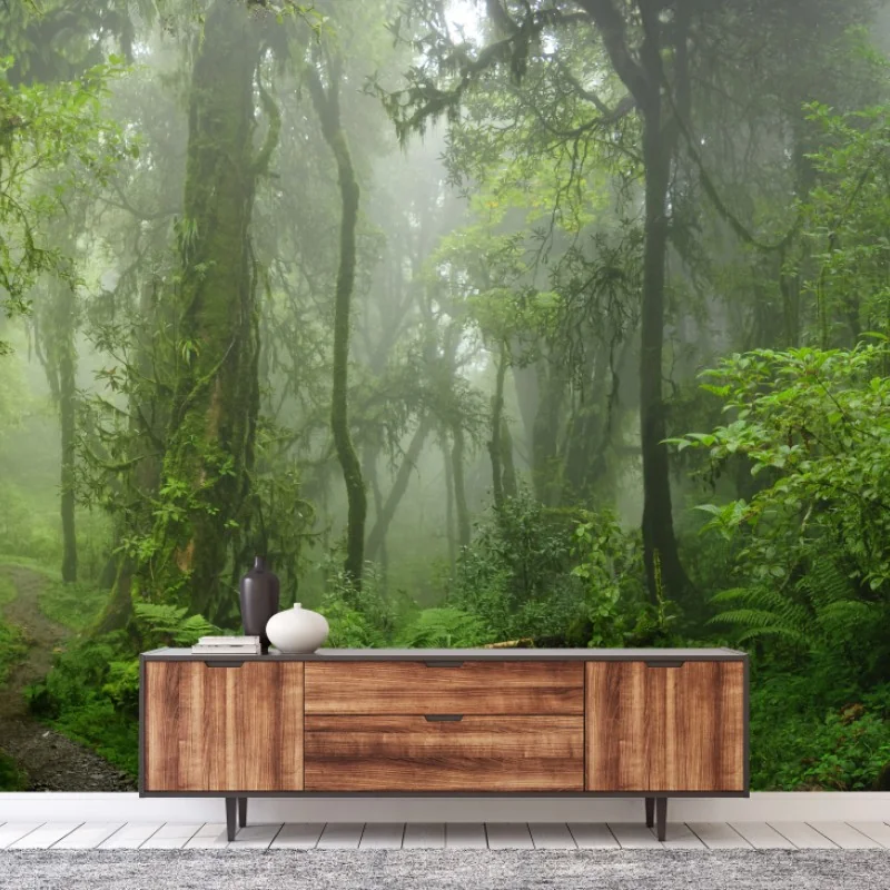 Fototapeta mglisty tropikalny szlak w dżungli – Wallissimo® Fototapeta mglisty tropikalny szlak w dżungli – Wallissimo®