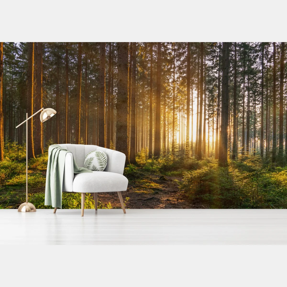 Fototapeta słoneczny las o poranku – Wallissimo® Fototapeta słoneczny las o poranku – Wallissimo®