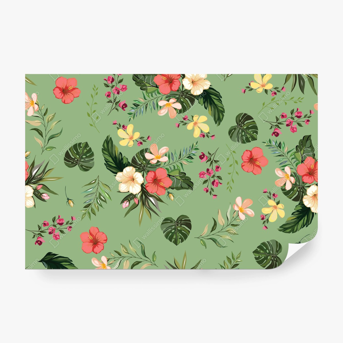 Fototapeta zielony tropikalny wzór hibiskusa – Wallissimo® Fototapeta zielony tropikalny wzór hibiskusa – Wallissimo®