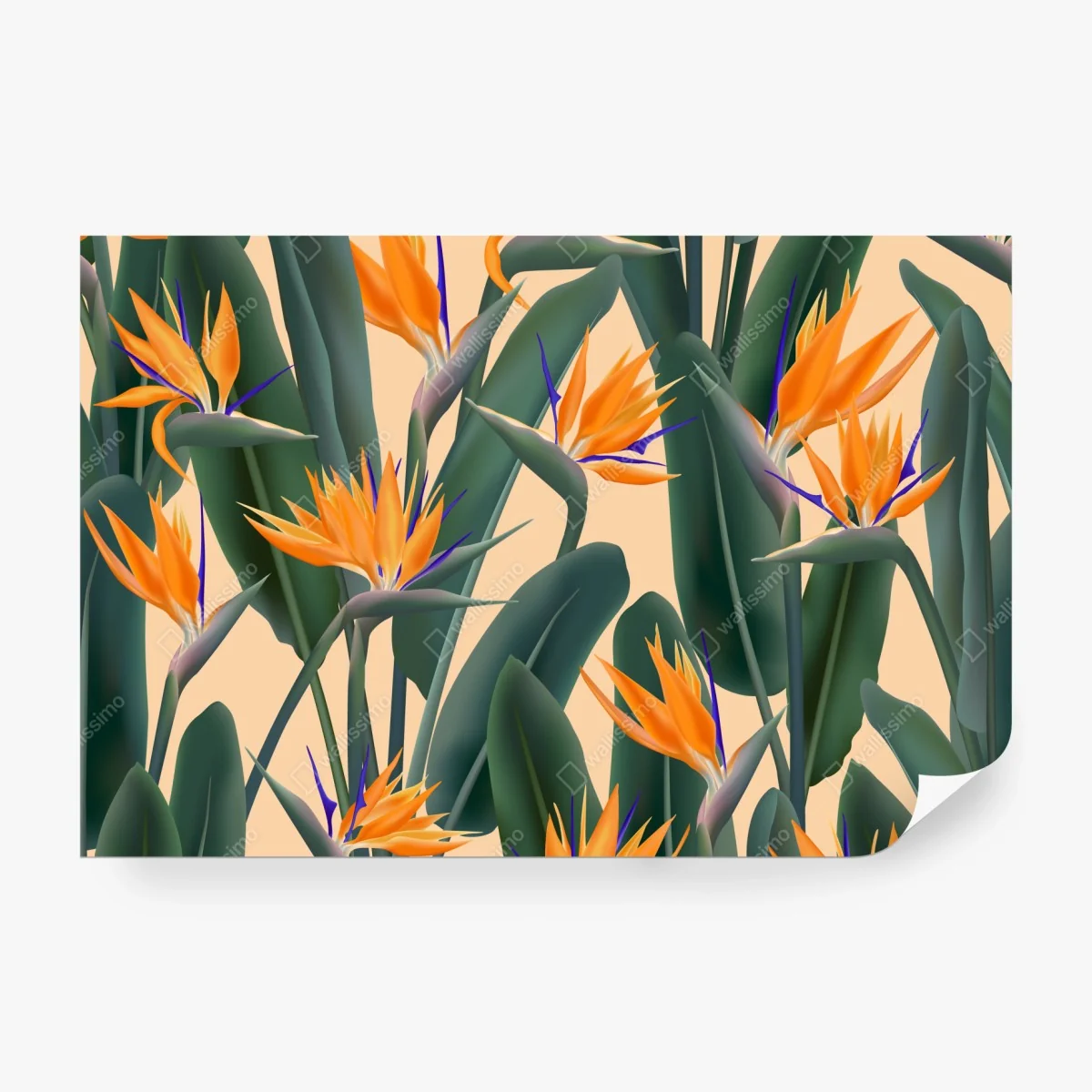 Fototapeta tropikalny wzór strelicji – Wallissimo® Fototapeta tropikalny wzór strelicji – Wallissimo®