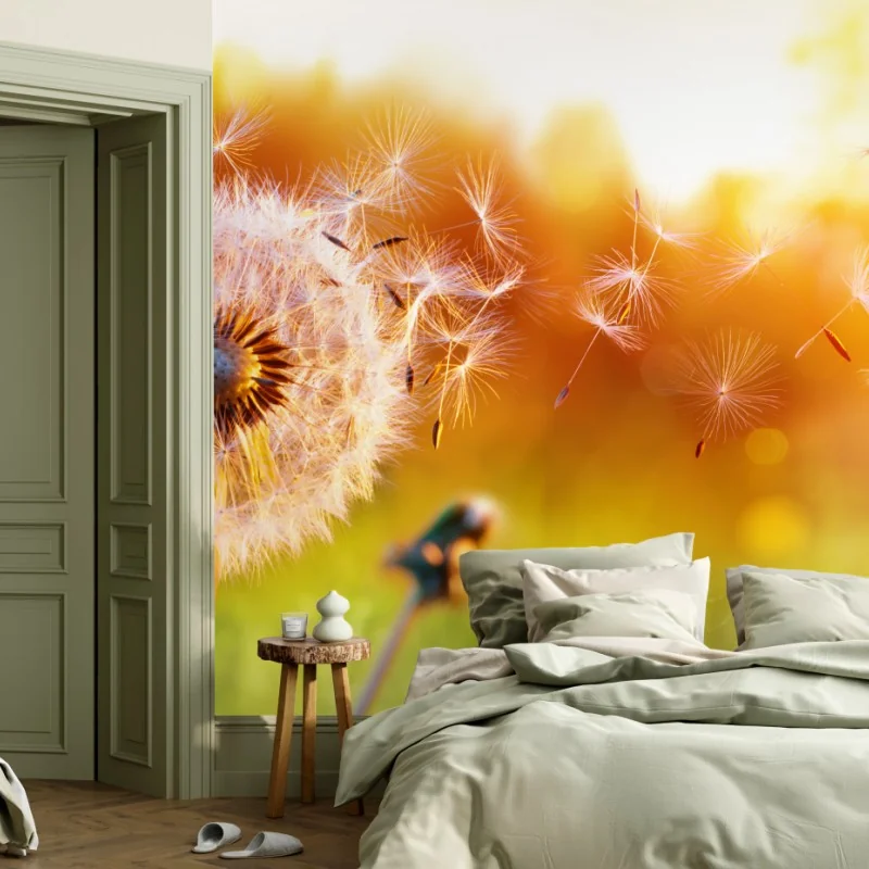 Fototapeta złoty dmuchawiec o zachodzie słońca – Wallissimo® Fototapeta złoty dmuchawiec o zachodzie słońca – Wallissimo®