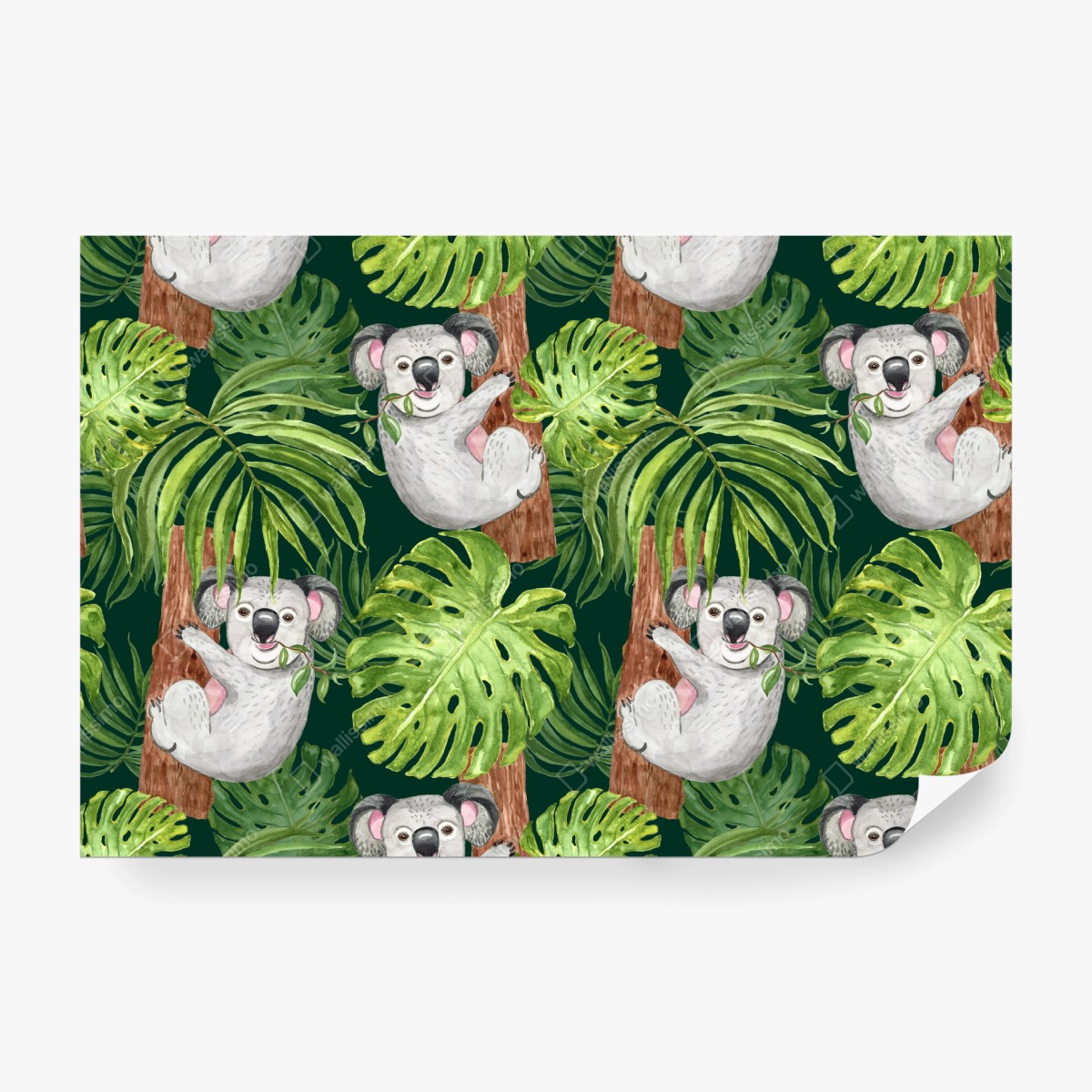 Fototapeta uroczy wzór z koalami i tropikalnymi liśćmi w akwareli – Wallissimo®