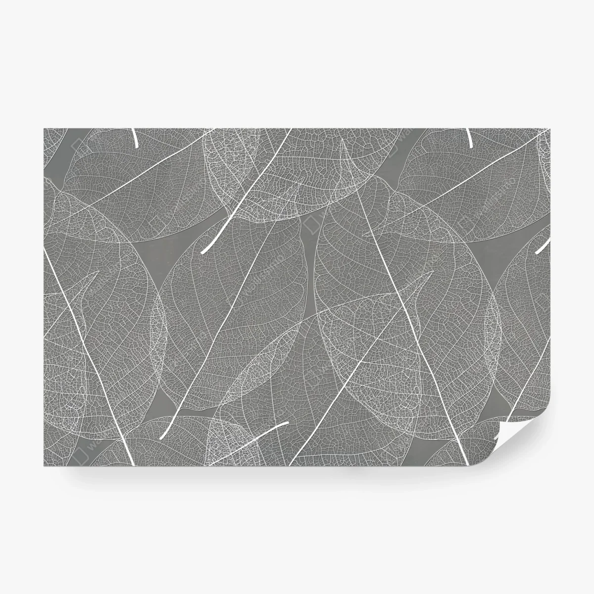Fototapeta delikatny wzór liści w odcieniach szarości – Wallissimo® Fototapeta delikatny wzór liści w odcieniach szarości – Wallissimo®