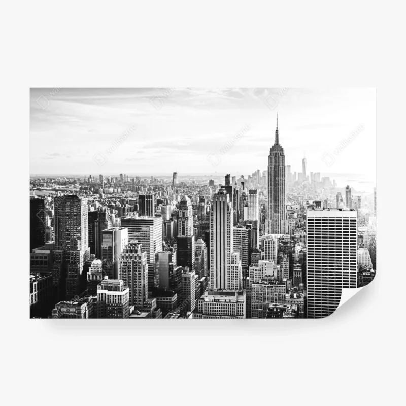 Fototapeta złota gałąź liści na czarnym tle – Wallissimo®