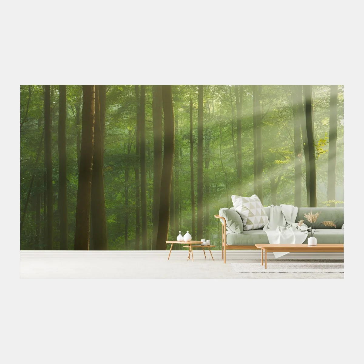 Fototapeta poranne światło w lesie – Wallissimo® Fototapeta poranne światło w lesie – Wallissimo®