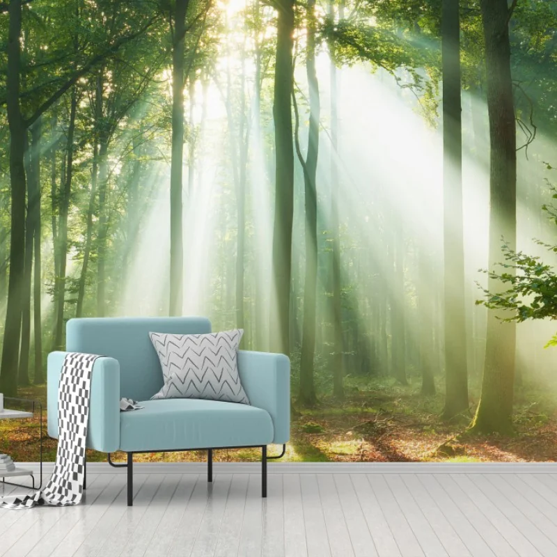 Fototapeta poranne światło w lesie – Wallissimo® Fototapeta poranne światło w lesie – Wallissimo®