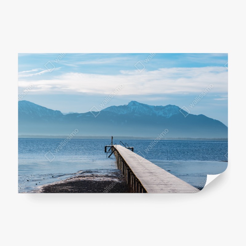 Fototapeta ilustracja kolacji z okazji Chińskiego Nowego Roku – Wallissimo®