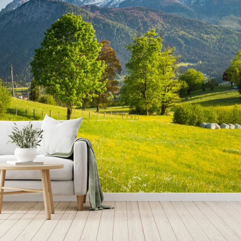 Fototapeta alpejska wiosenna łąka pod śnieżnymi szczytami – Wallissimo® Fototapeta alpejska wiosenna łąka pod śnieżnymi szczytami – Wallissimo®