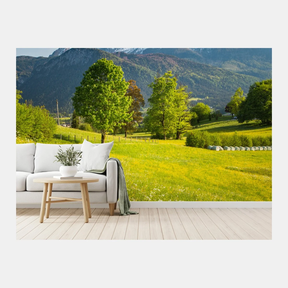 Fototapeta alpejska wiosenna łąka pod śnieżnymi szczytami – Wallissimo® Fototapeta alpejska wiosenna łąka pod śnieżnymi szczytami – Wallissimo®