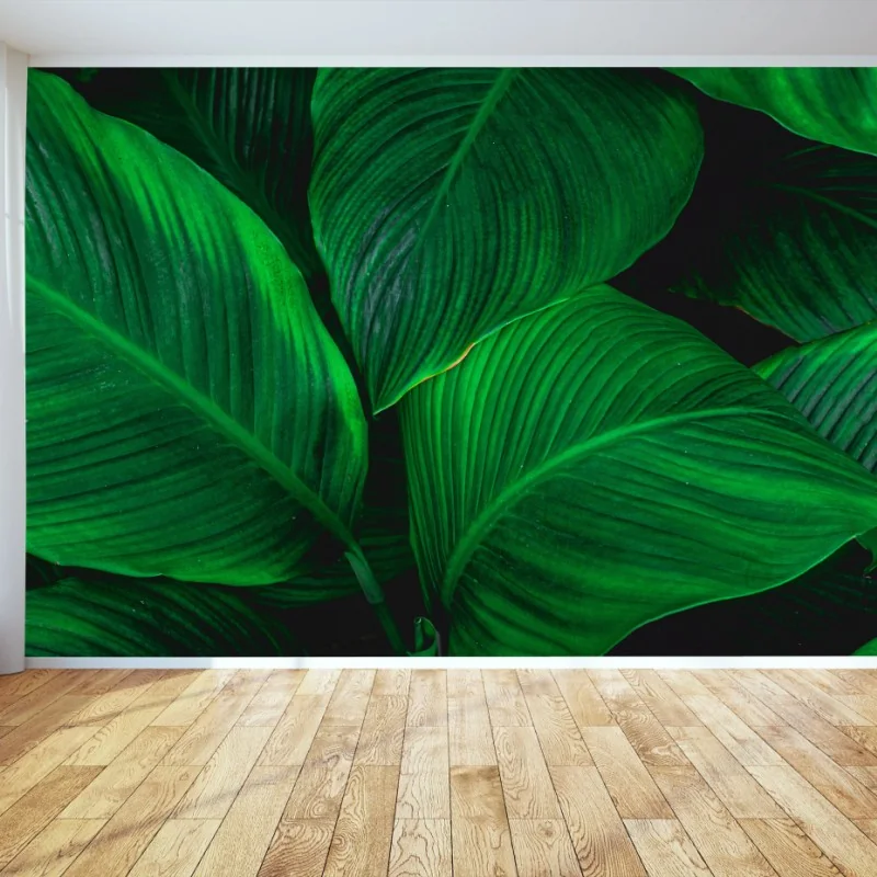 Fototapeta bujne tropikalne liście – Wallissimo® Fototapeta bujne tropikalne liście – Wallissimo®